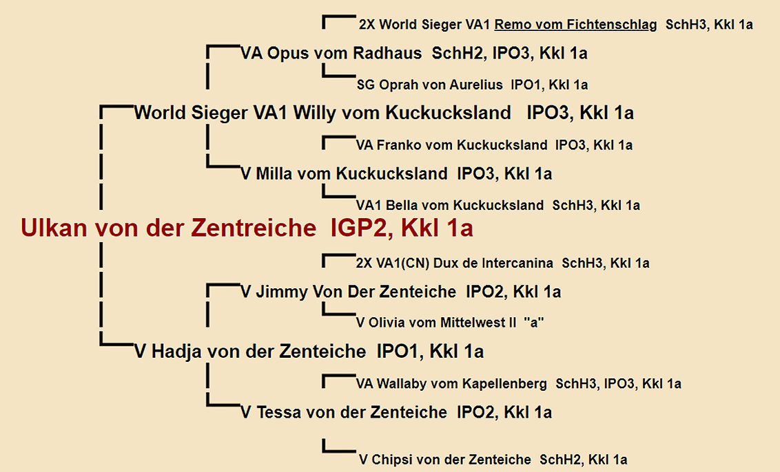 Ulkan von der Zentreiche Pedigree